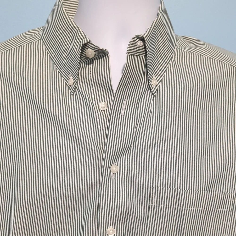 Roundtree & Yorke Men's Sage Striped Button Down Shirt